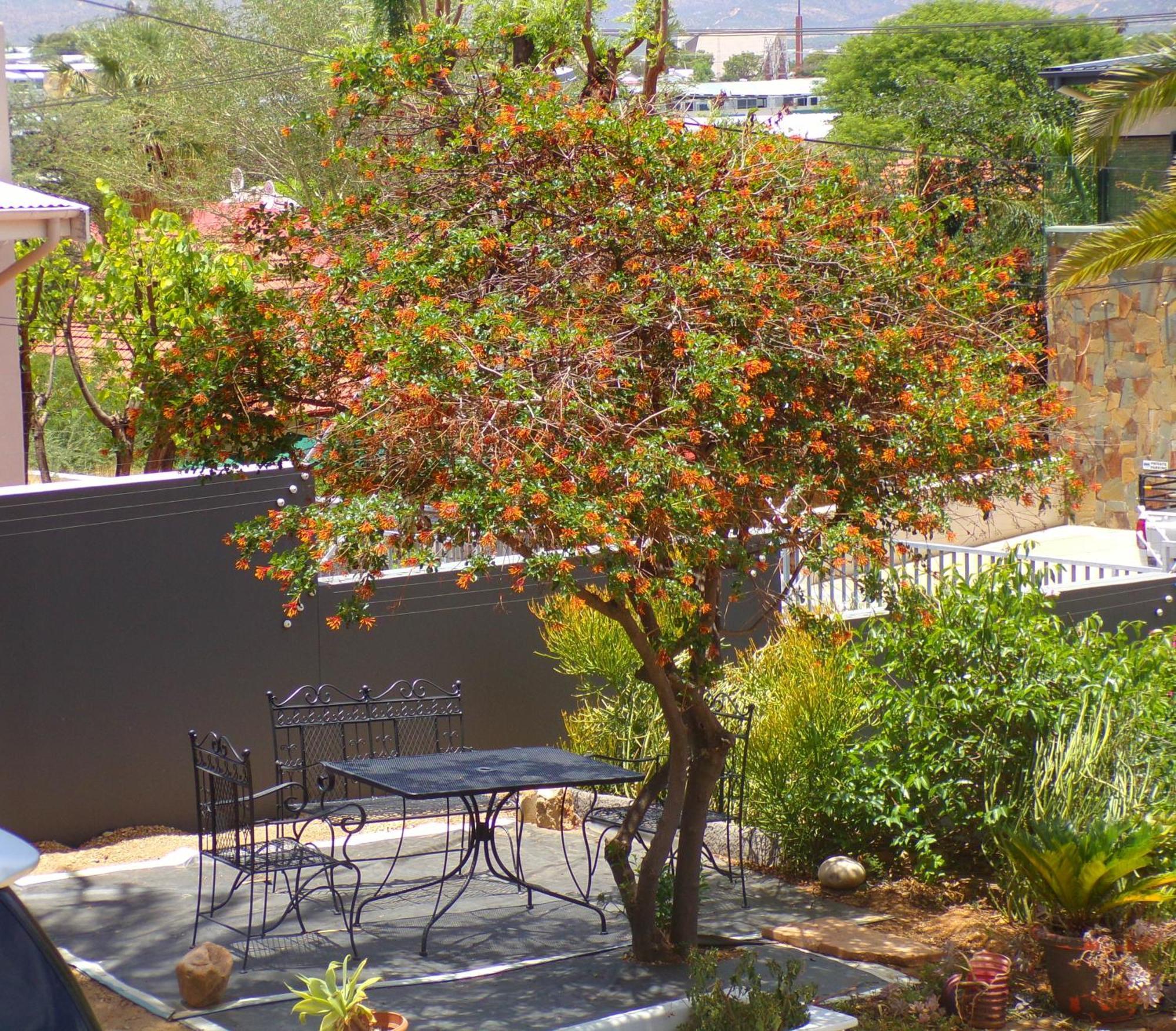 Appartamento Sapphirea@54 Windhoek Esterno foto